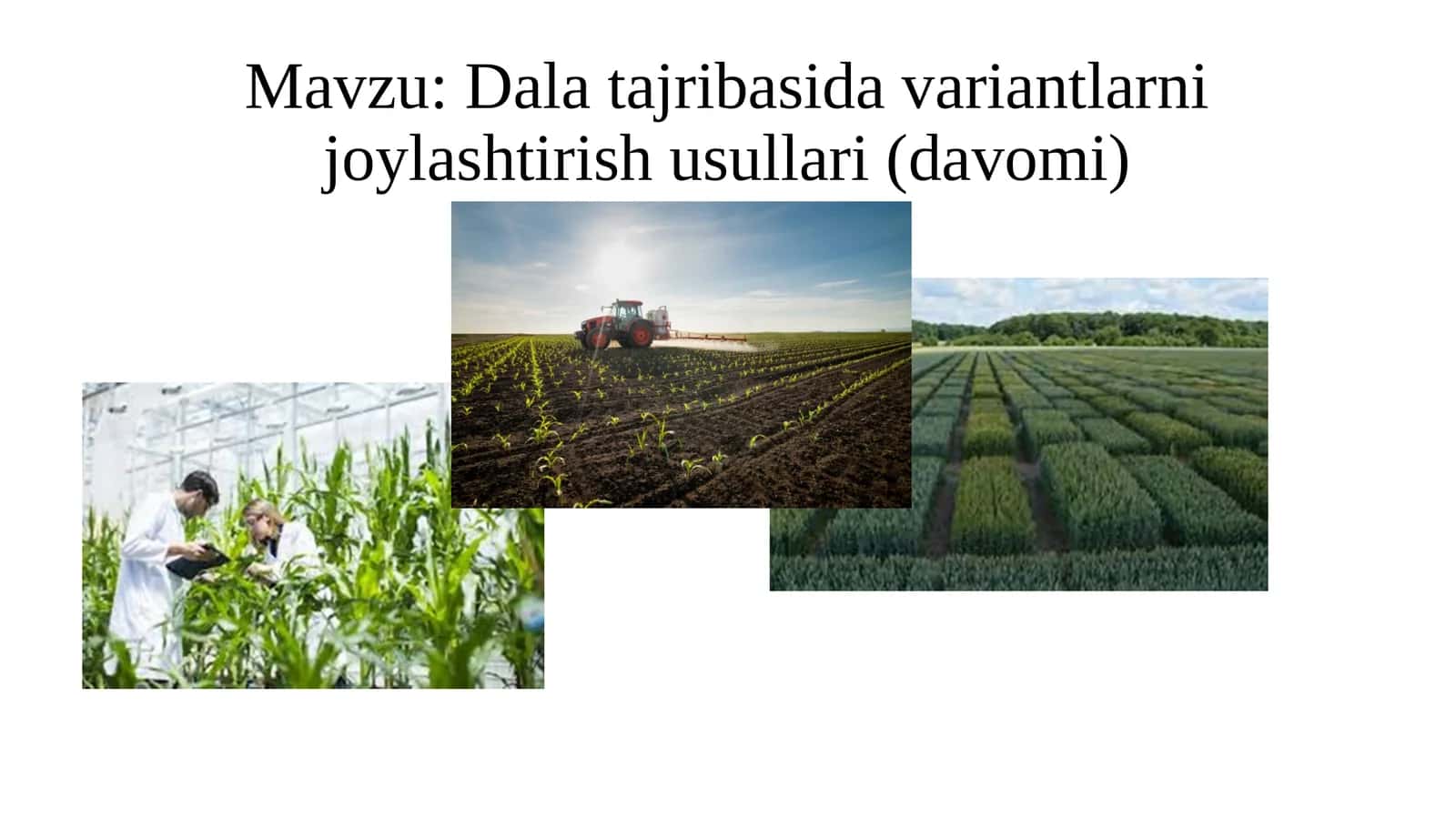Dala tajribasida variantlarni joylashtirish usullari 1