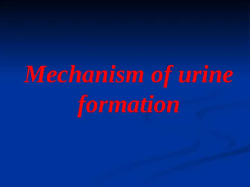 Mechanism of urine formation 1