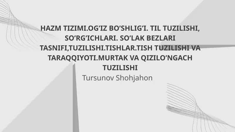 HAZM TIZIMI 1