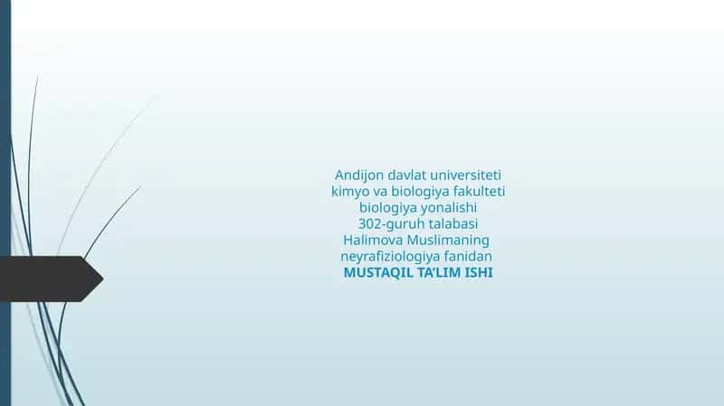 Oraliq Miya (Diencephalon) 1