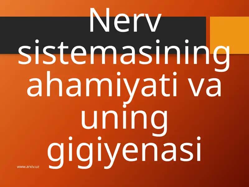 Nerv Faoliyati tiplari 1