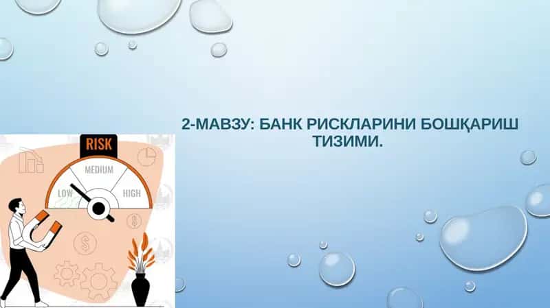 Банк рискларини бошқариш тизими 1