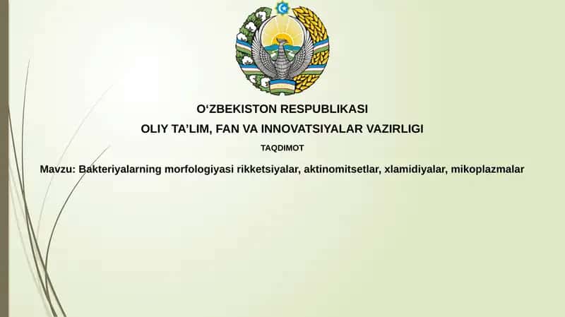Bakteriyalarning morfologiyasi 1