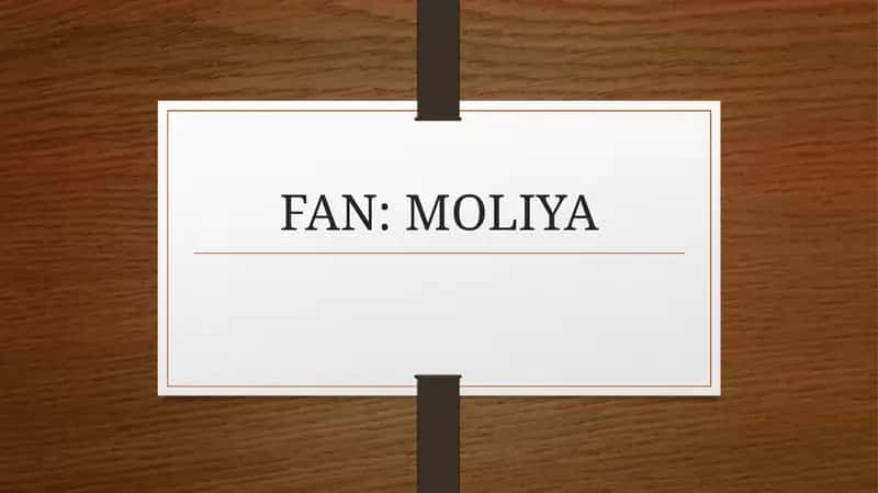 Moliya Vazirligi G`aznachiligi 1
