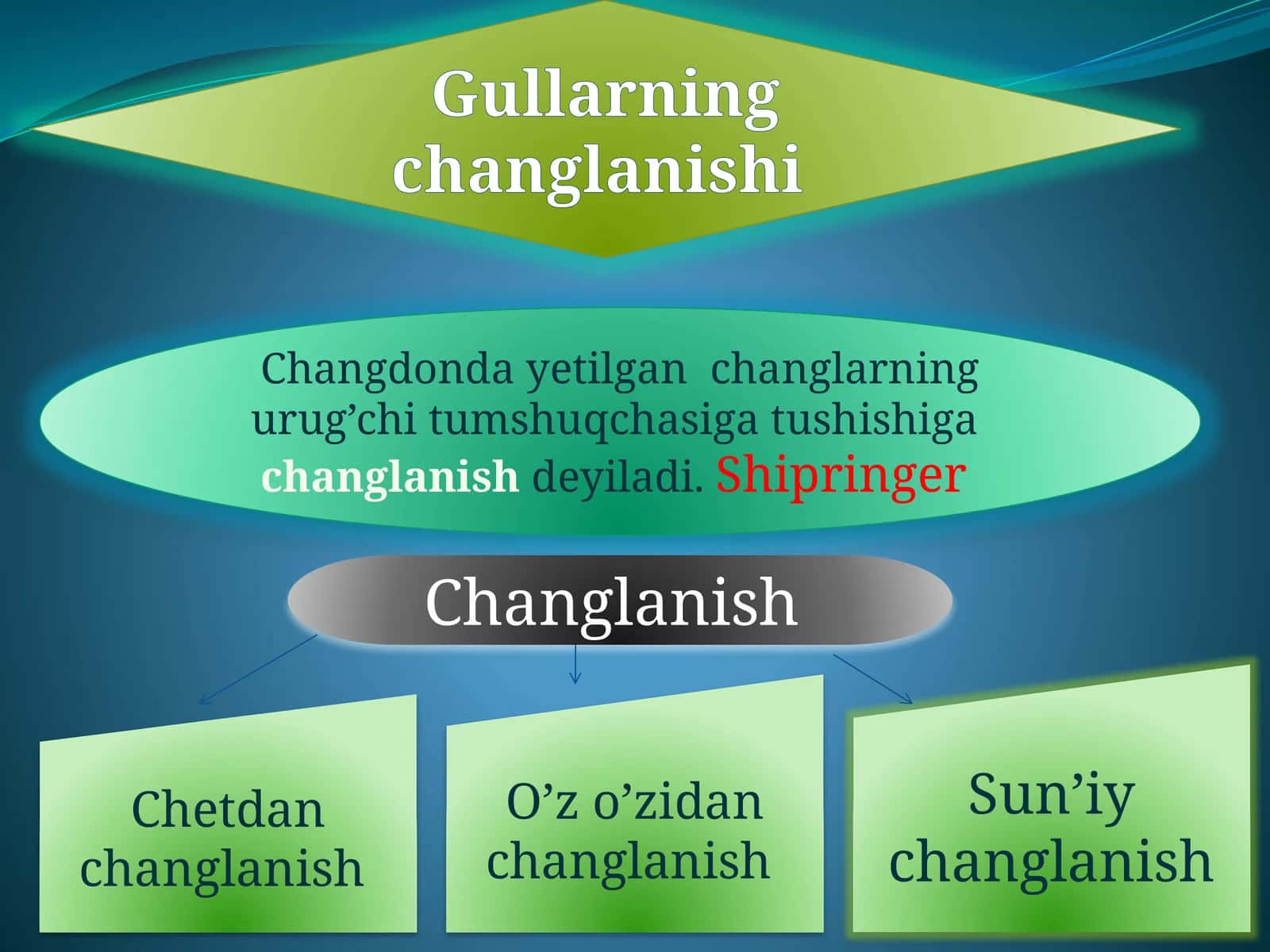 Changlanish 1