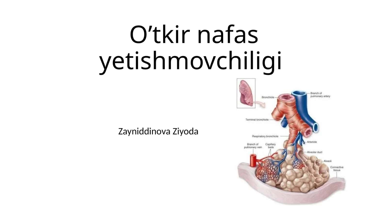 O’tkirnafasyetishmovchiligi 1
