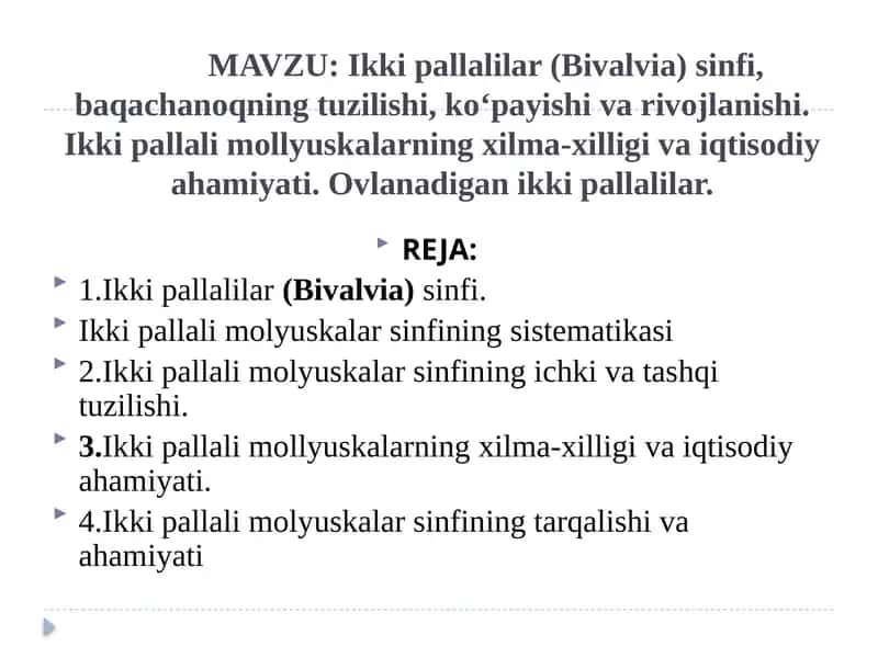 Ikki pallalilar (Bivalvia) sinfi 1