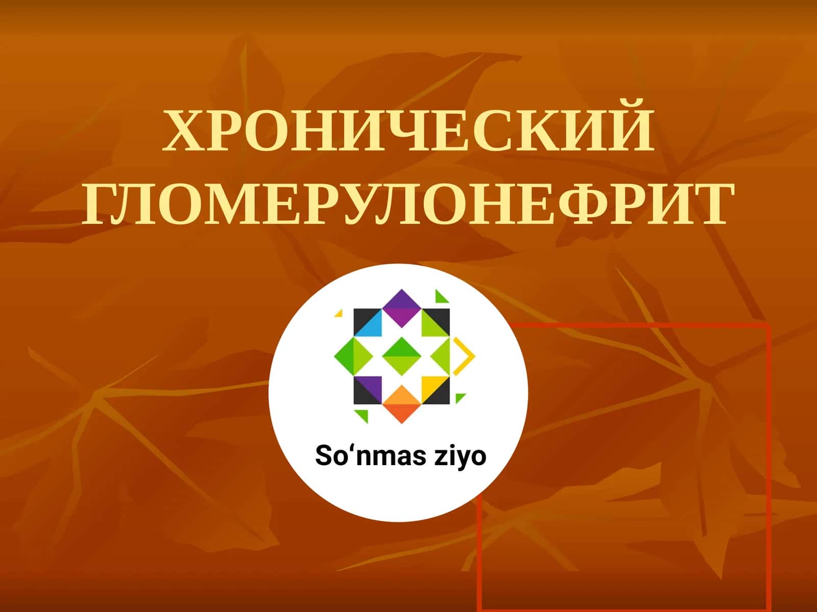 ХРОНИЧЕСКИЙ ГЛОМЕРУЛОНЕФРИТ 1