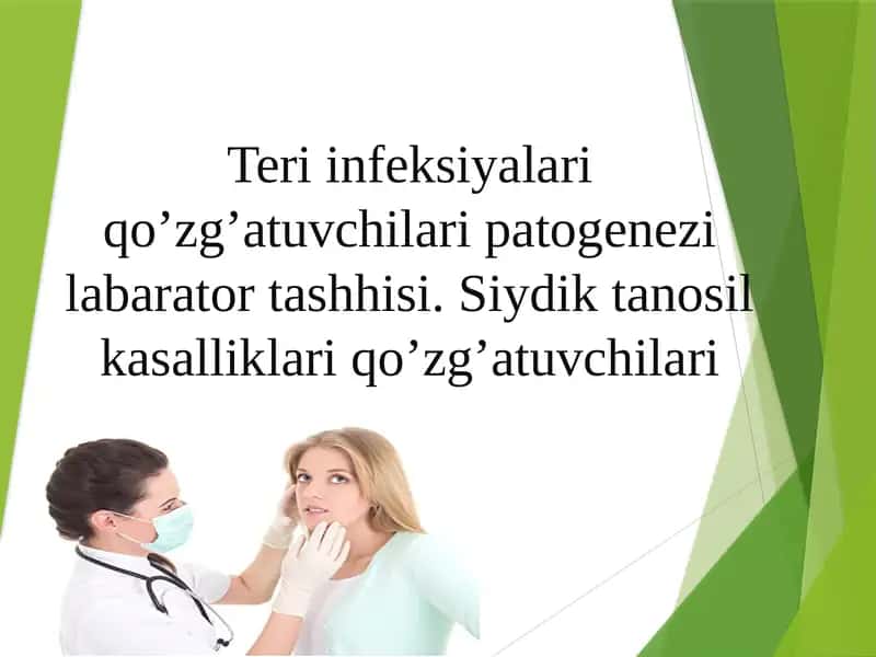 teri infeksiyalari qo'zg'atuvchilari 1