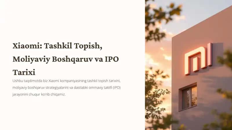 Xiaomi: Tashkil Topish, Moliyaviy Boshqaruv va IPO Tarixi 1