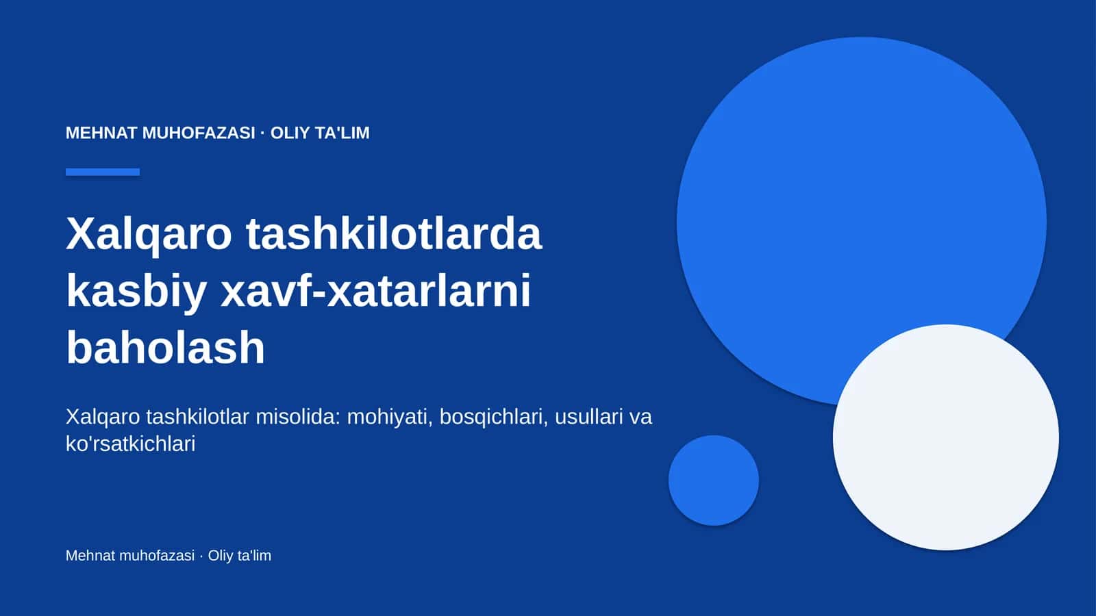 xalqaro tashkilotlarda kasbiy xavf xatarlarni baholash 4276 1