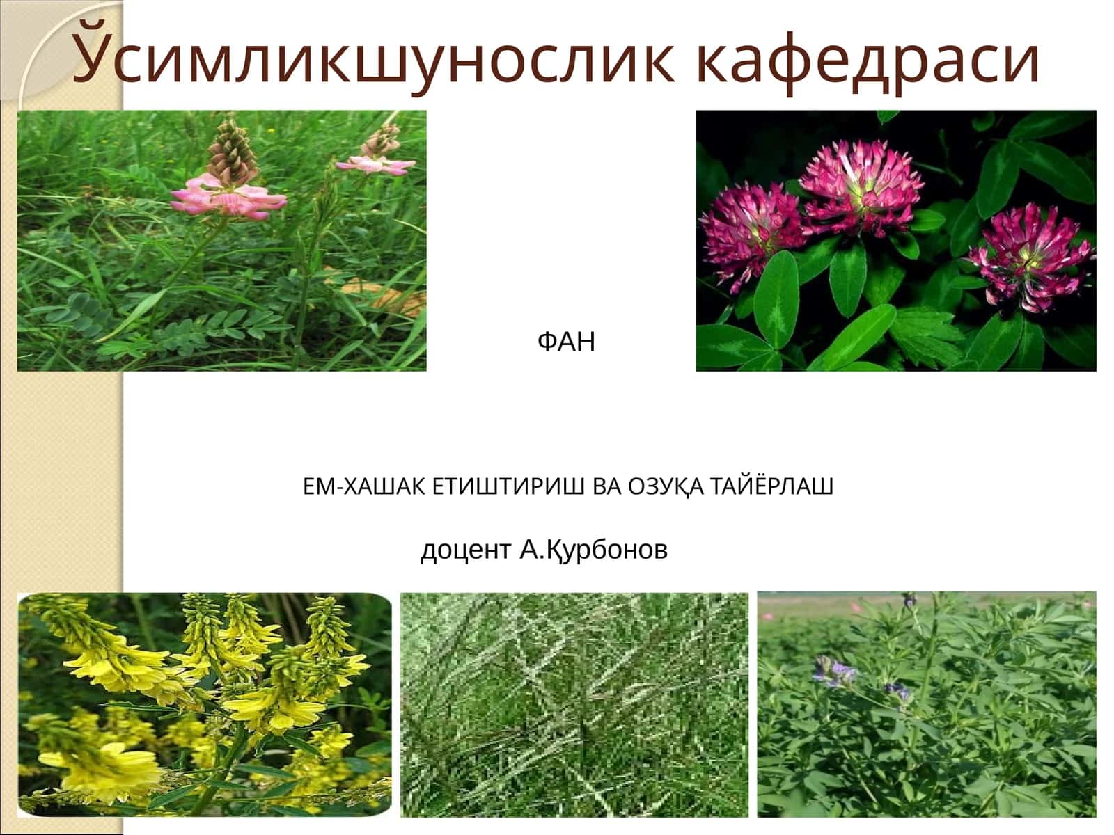 Ўсимликшунослик кафедраси 1