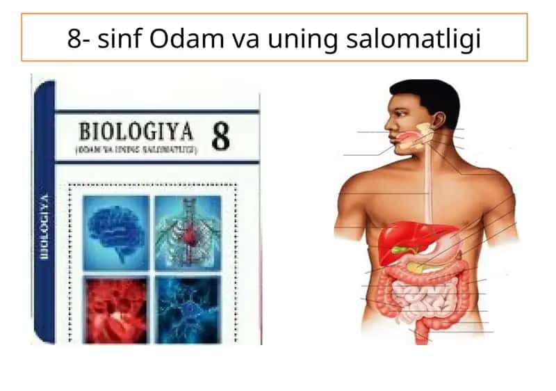 8-sinf Odam va uning salomatligi 1