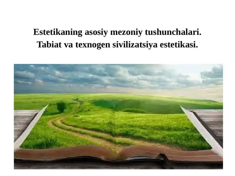 Estetikaning asosiy mezoniy tushunchalari 1
