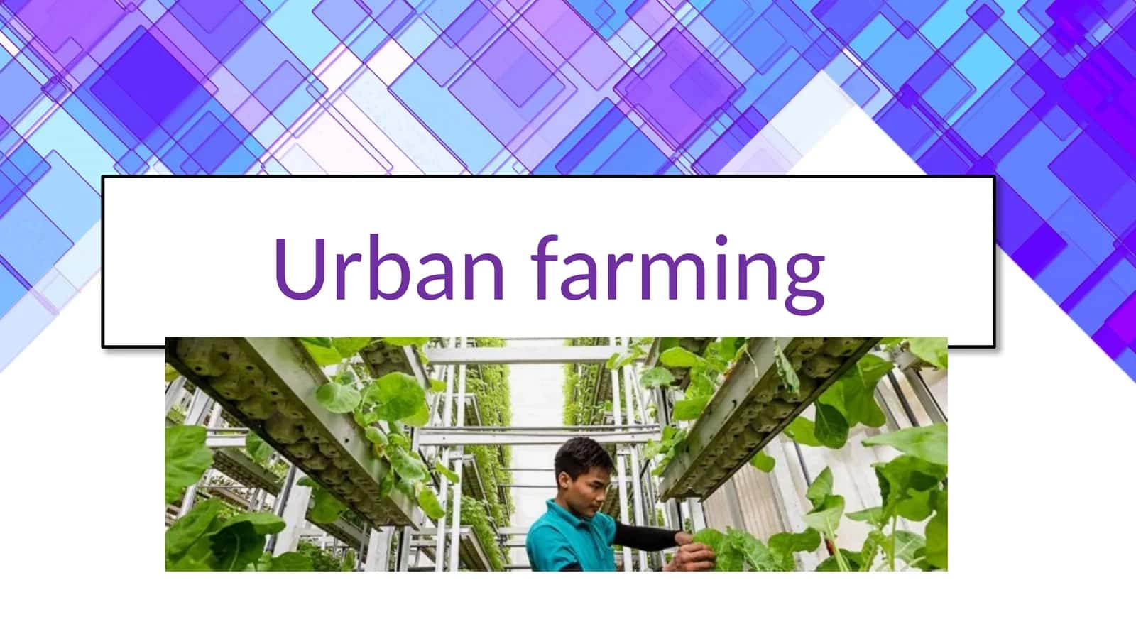Urban farming 1