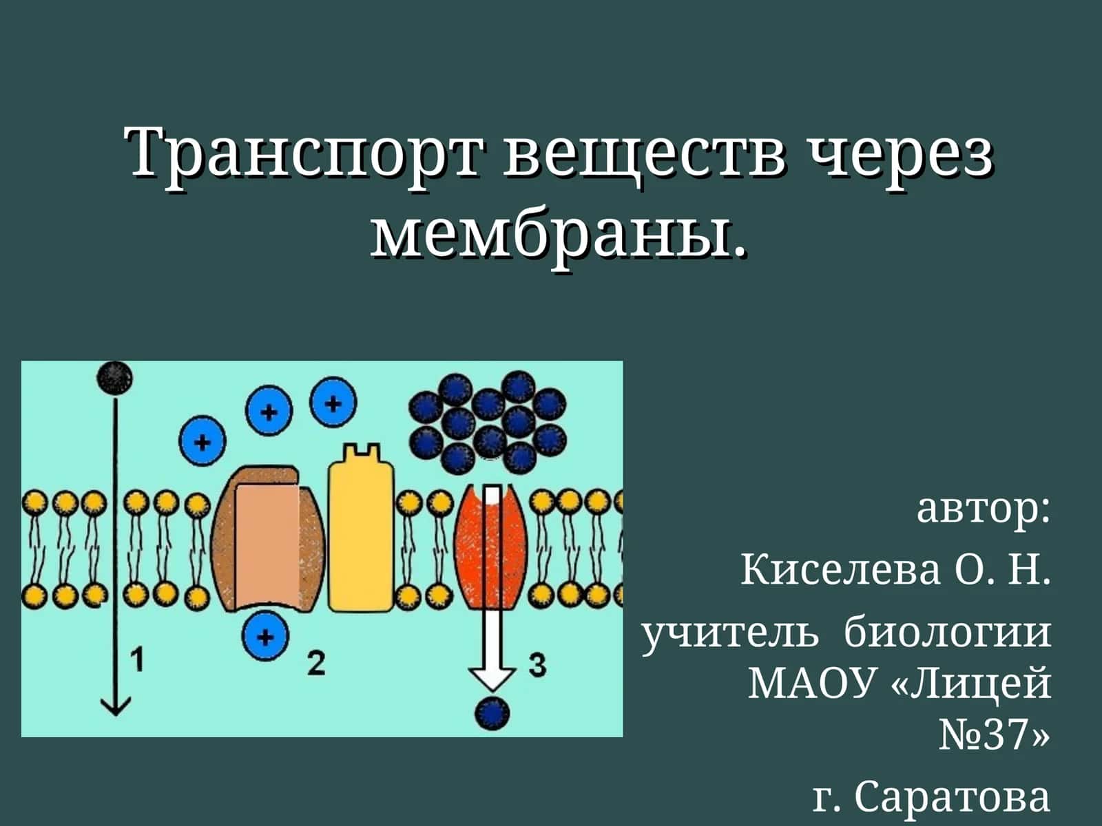 Транспорт веществ через мембраны 1