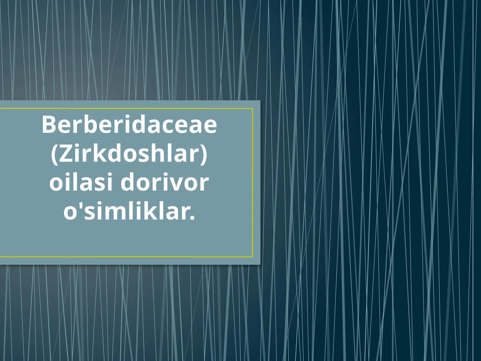 Zirkdoshlar Oilasi 1