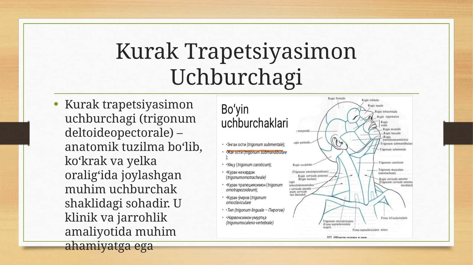 Kurak Trapetsiyasimon uchburchagi 1