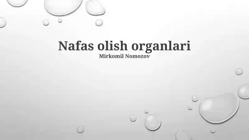 Nafas olish organlari