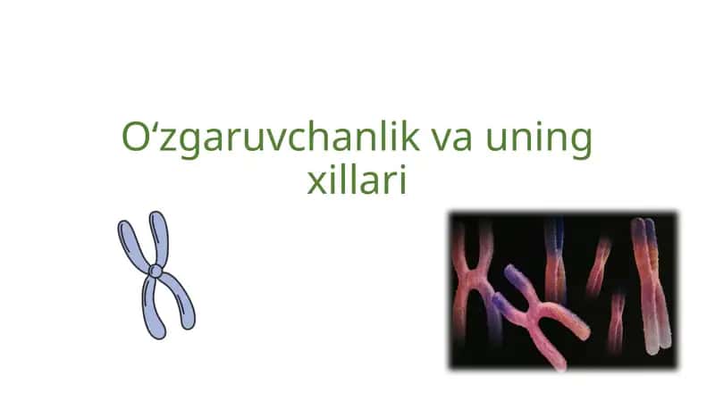O‘zgaruvchanlik va uning xillari 1