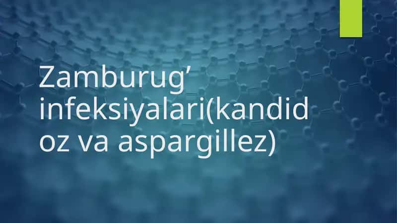 Zamburug' infeksiyalari(kandidoz va aspargillez) 1