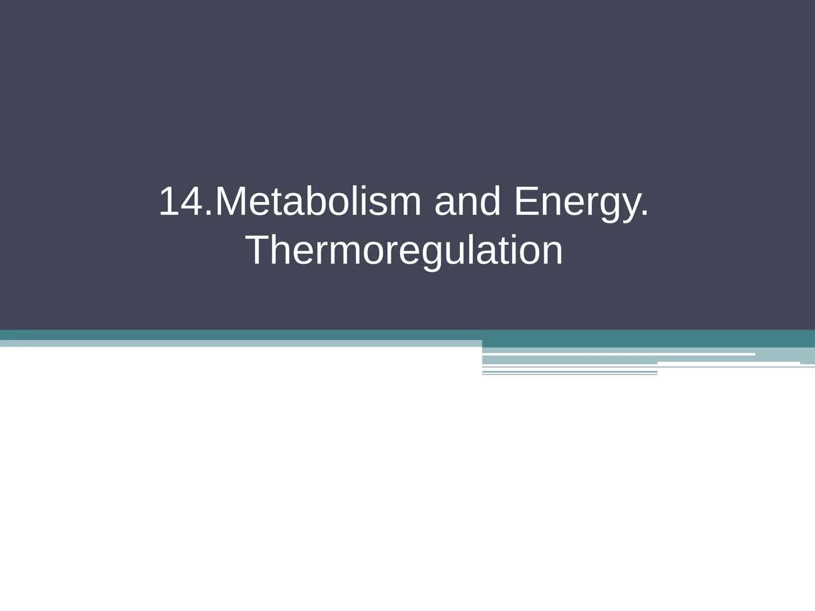 14.Metabolism and Energy. Thermoregulation 1