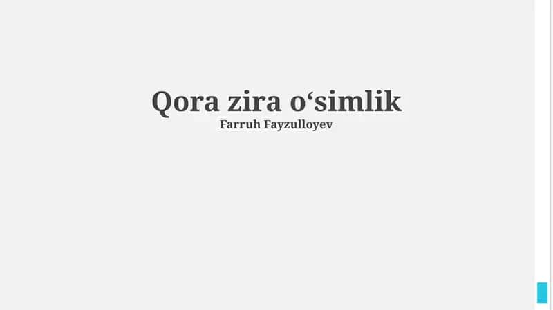 Qora zira oʻsimlik 1