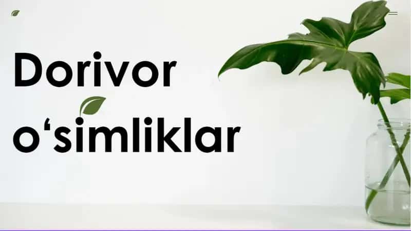 Dorivor o'simliklar 1