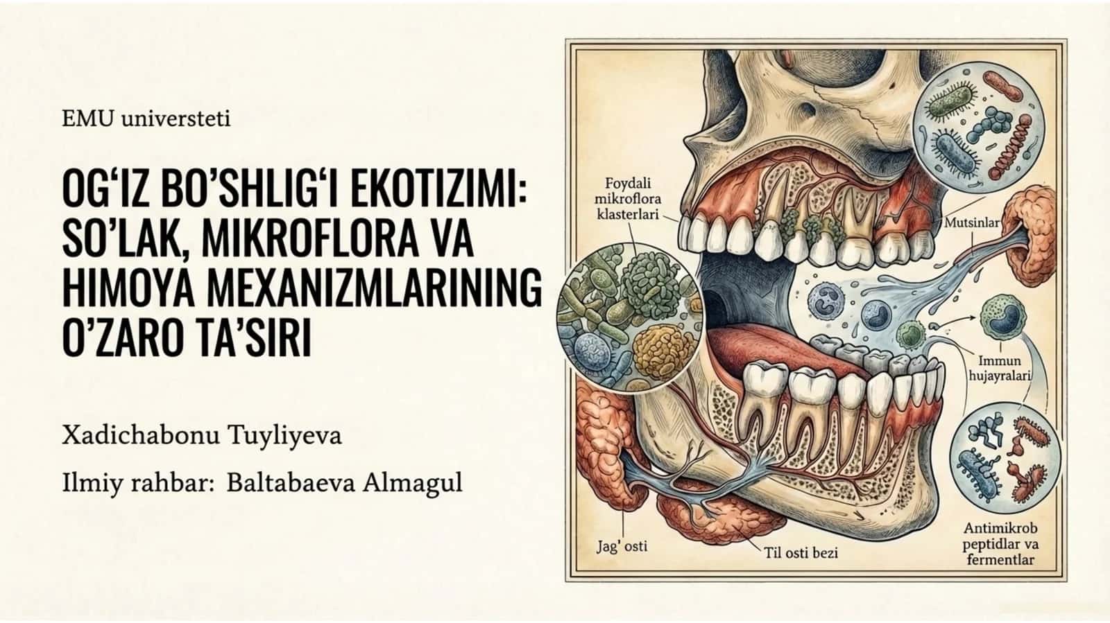 og‘iz bo‘shlig‘i ekotizimini 1