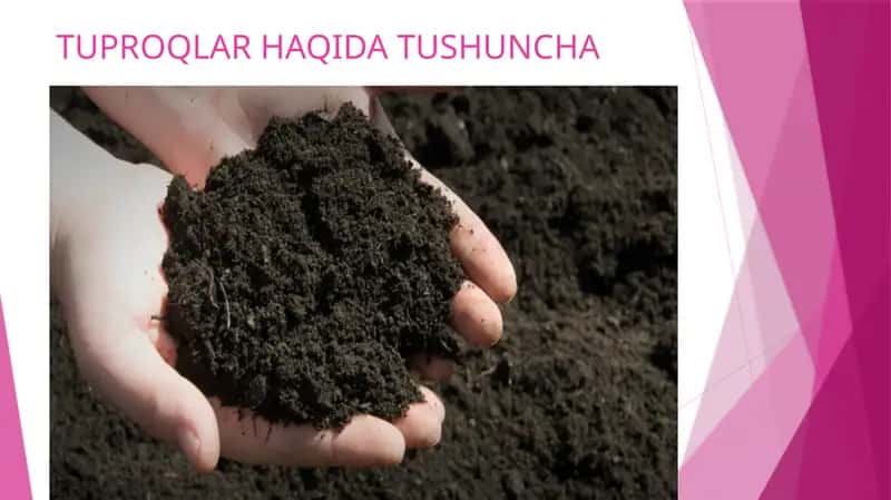 Тuproq Haqida Tushuncha 1