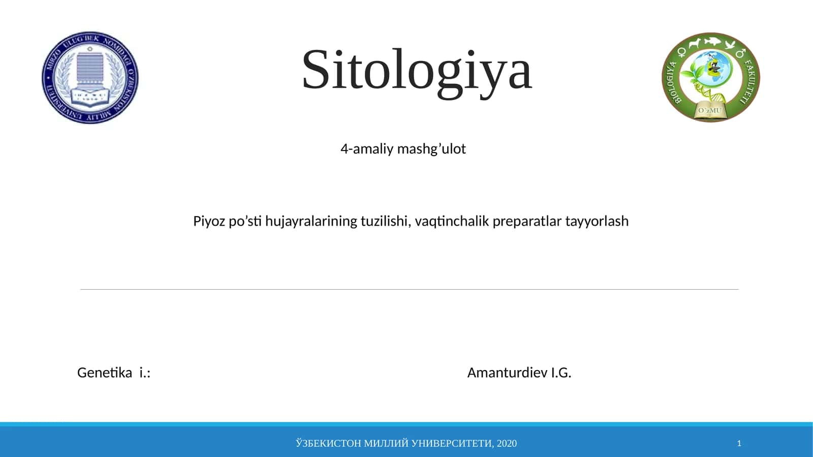 Piyozpo’sti hujayralarining tuzilishi 1