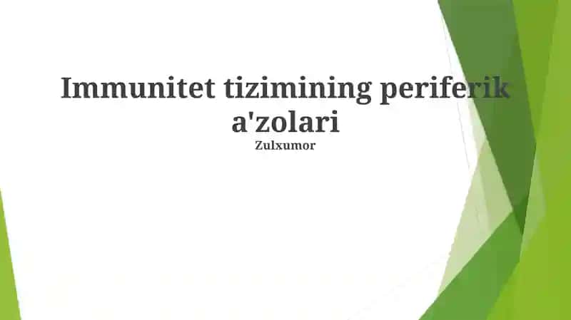 Immunitet tizimining periferik a'zolari