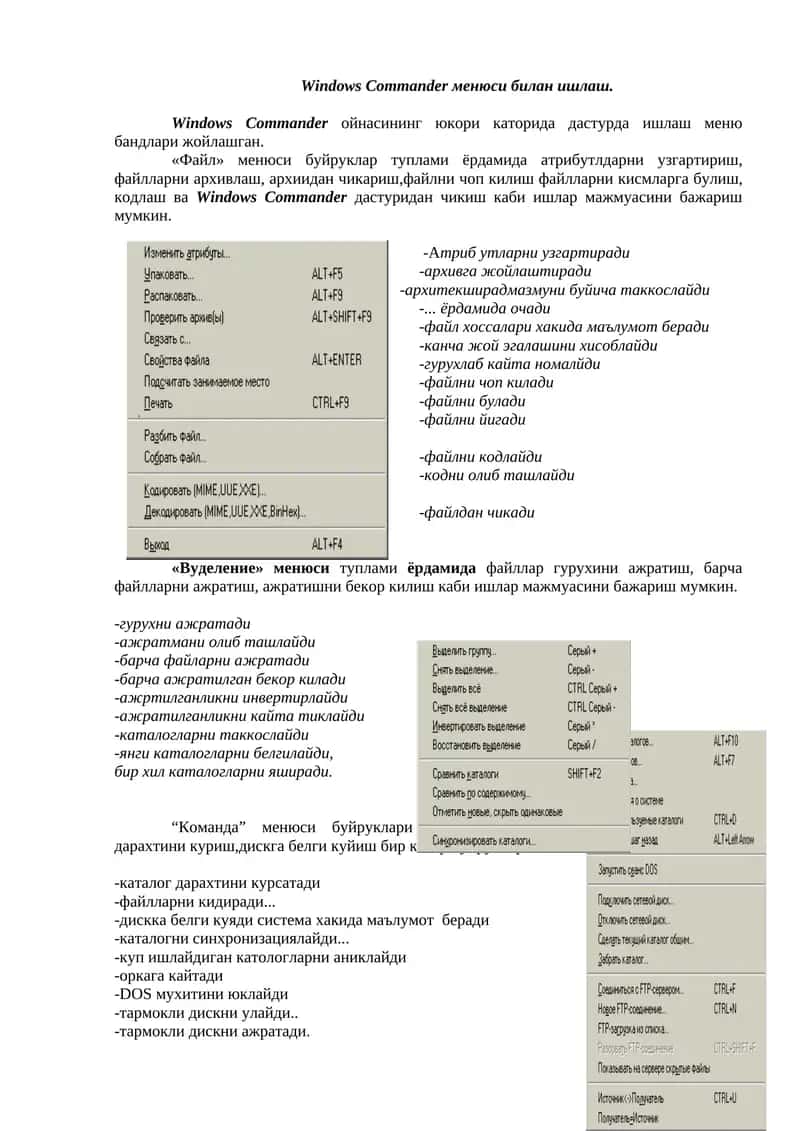 Windows Commander 1