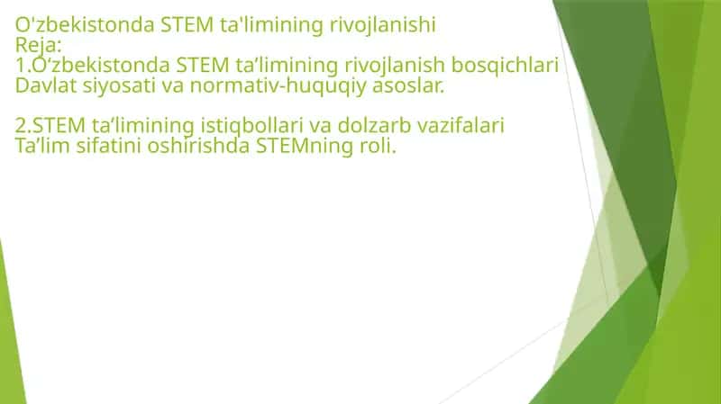 STEM Ta'limi 1