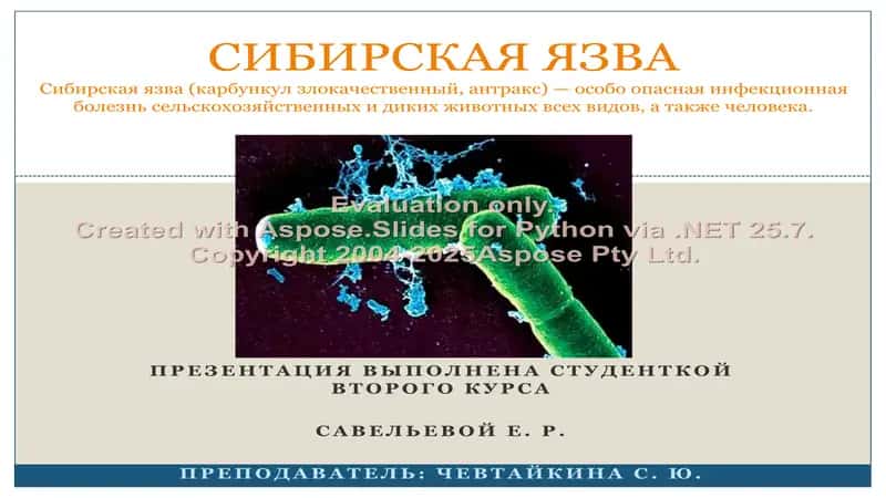 Сибирская язва 1