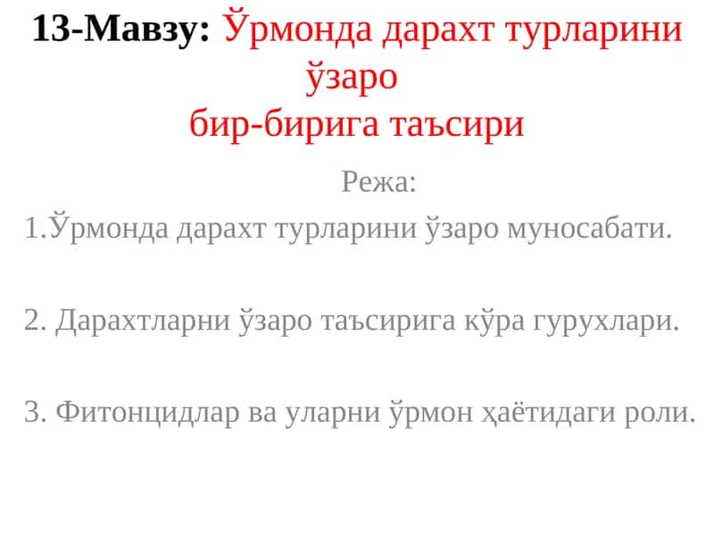 Ўрмонда дарахт турларини ўзаробир-бирига таъсири 1