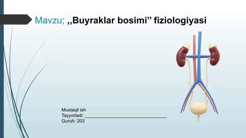Buyraklarbosimi’’fiziologiyasi 1