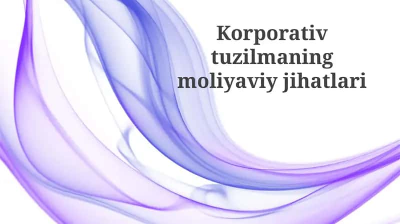 Korporativ tuzilmaning moliyaviy jihatlari 1
