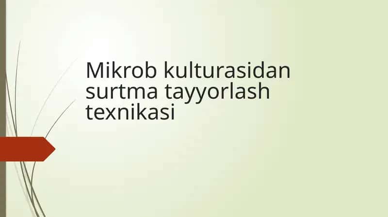 Mikrobkulturasidan Surtma Tayyorlash Texnikasi 1