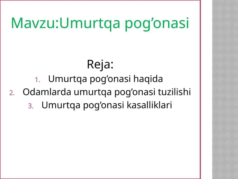 Umurtqa pog’onasi 1