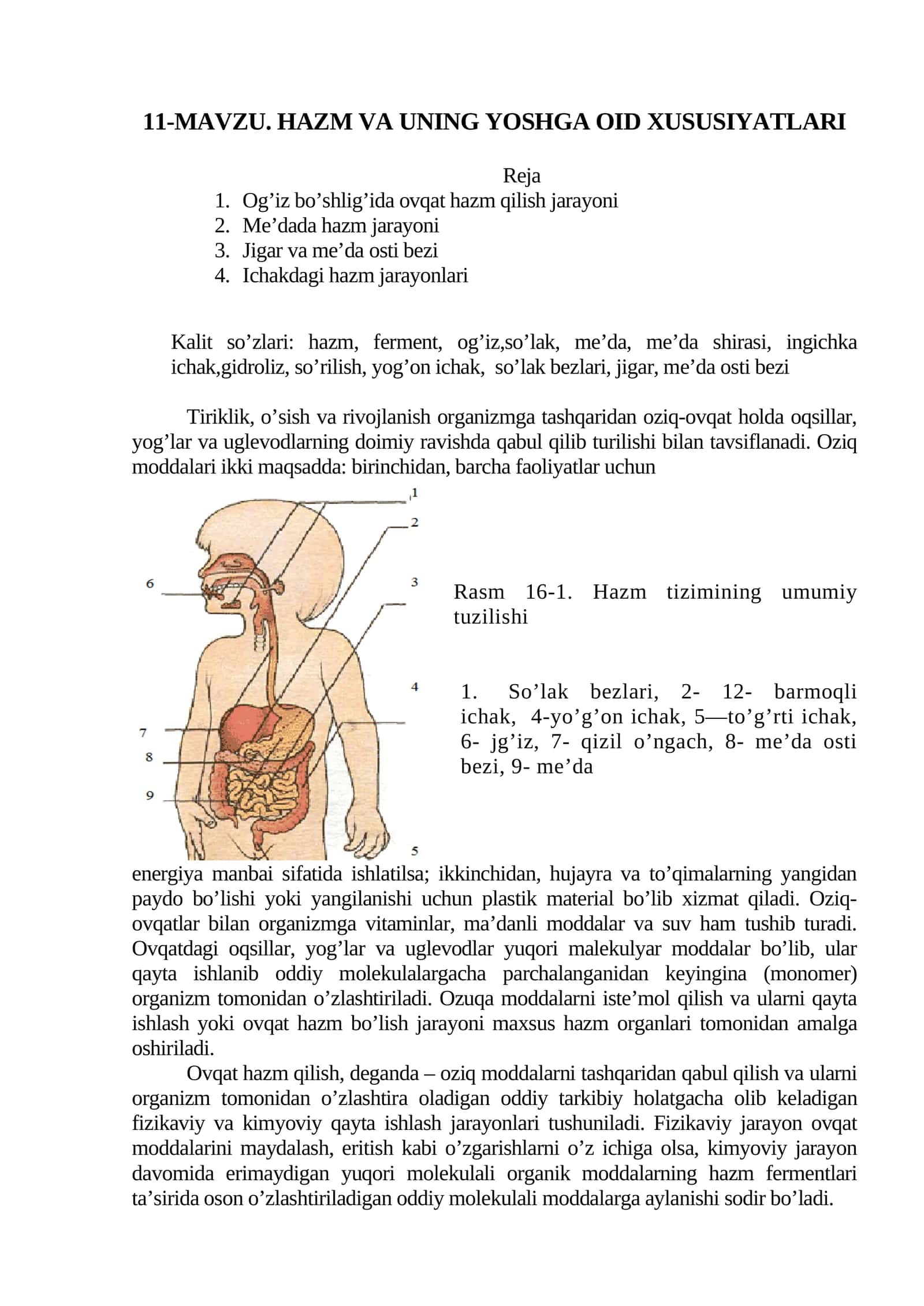 11-mavzu. Hazm va uning yoshga oid xususiyatlari 1