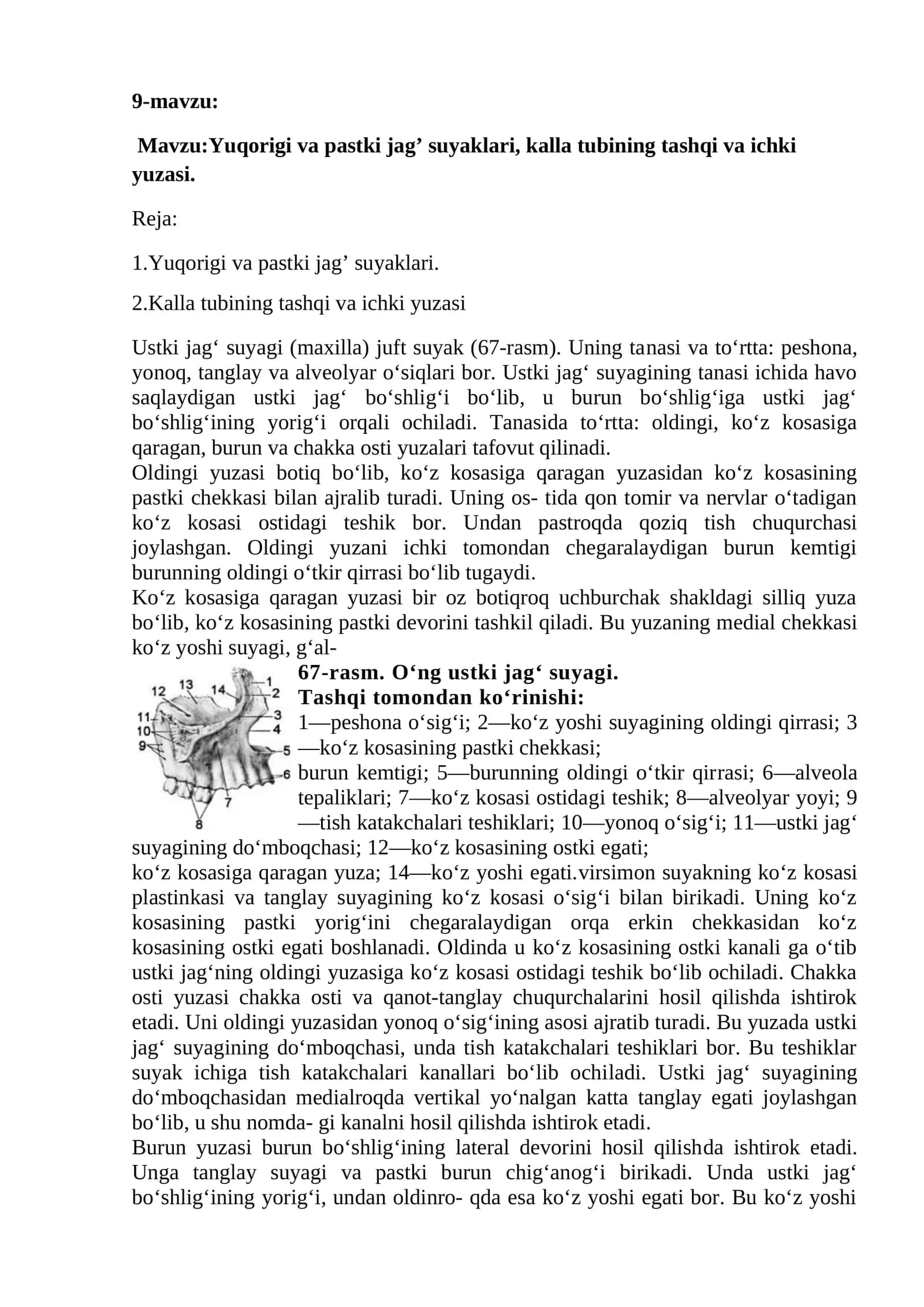 Kalla tubining tashqi va ichki yuzasi 1