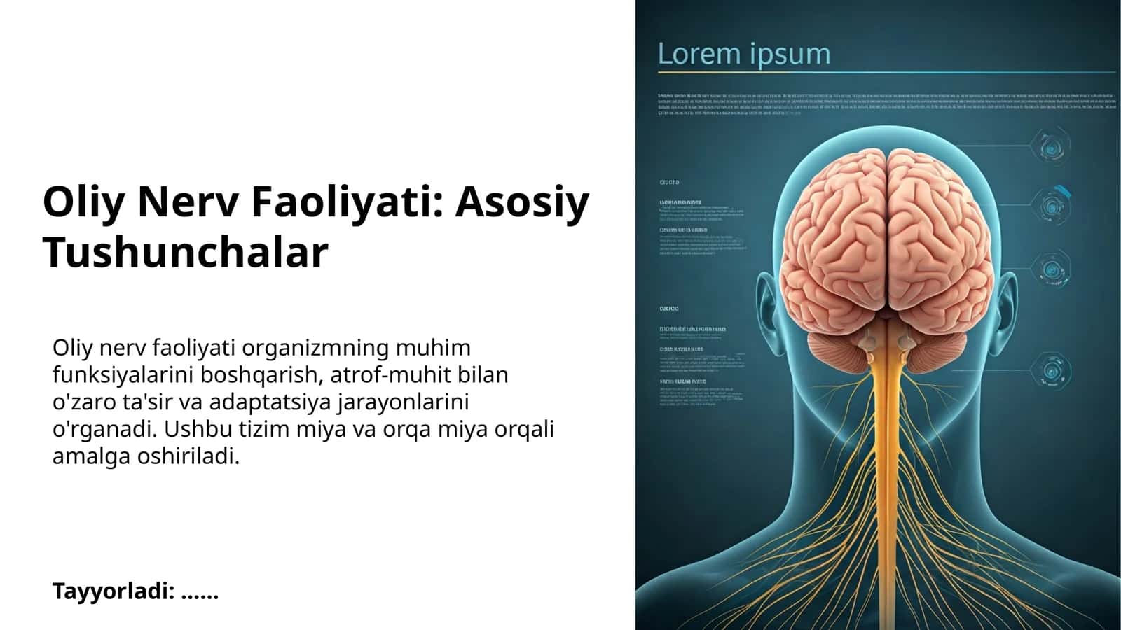 Oliy Nerv Faoliyati: Asosiy Tushunchalar 1