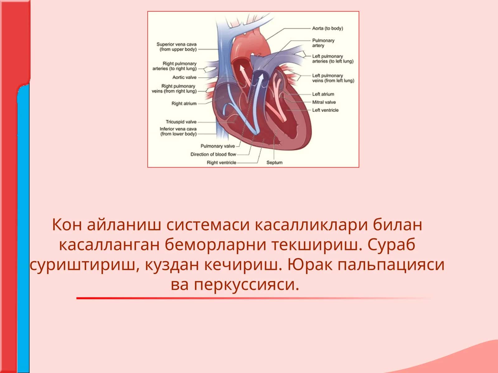 Кон айланиш системаси 1
