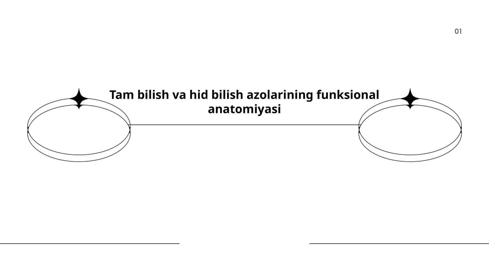 Tam bilish va hid bilish azolarining funksional anatomiyasi 1