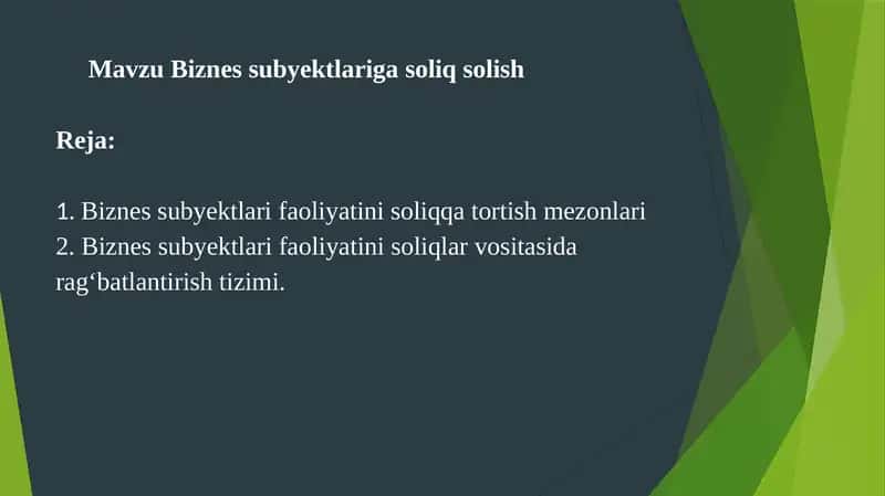 Biznes subyektlariga soliq solish 1