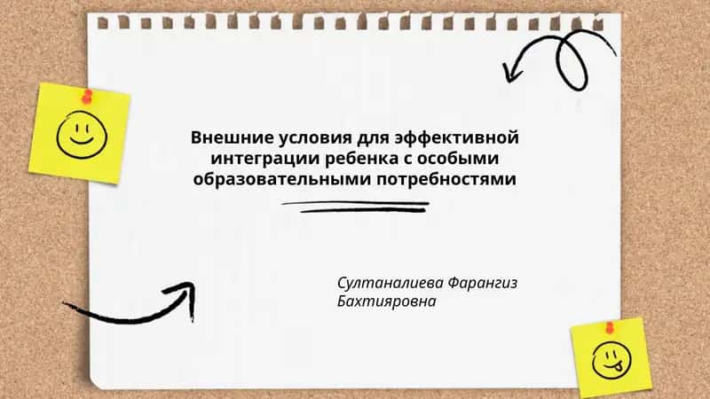 Внешние условия для эффективной интеграции ребенка с особыми образовательными потребностями 1