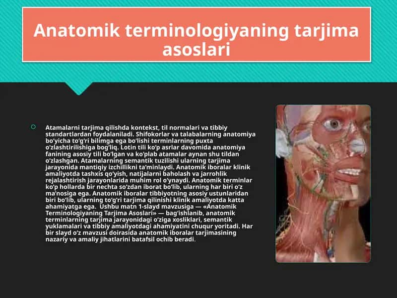 Anatomik terminologiyaning tarjima asoslari 1