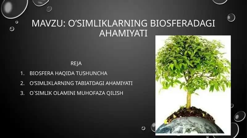 o’Simliklarning biosferadagi ahamiyati 1