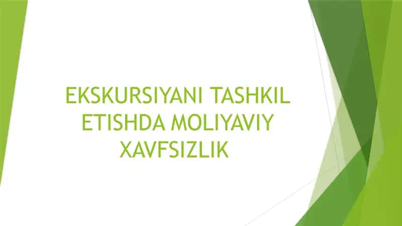 EKSKURSIYANI TASHKIL ETISHDA MOLIYAVIY XAVFSIZLIK 1